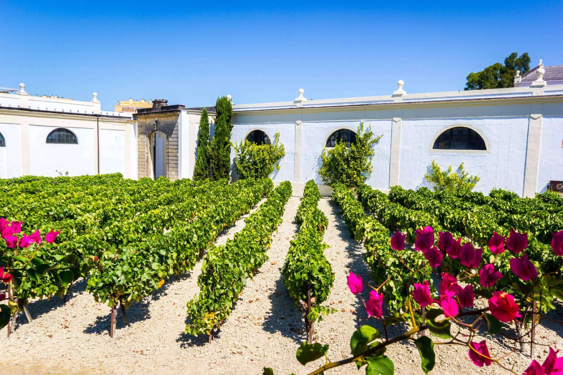 De Gálvez dispone de la línea de vinos de Jerez