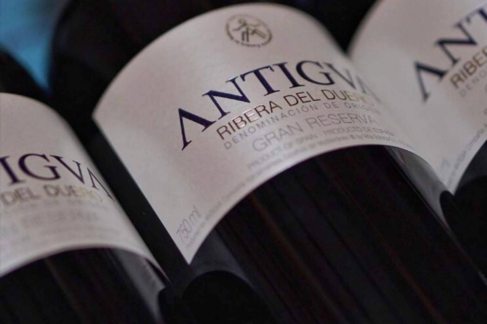 Antigva: innovación en el mundo de los vinos