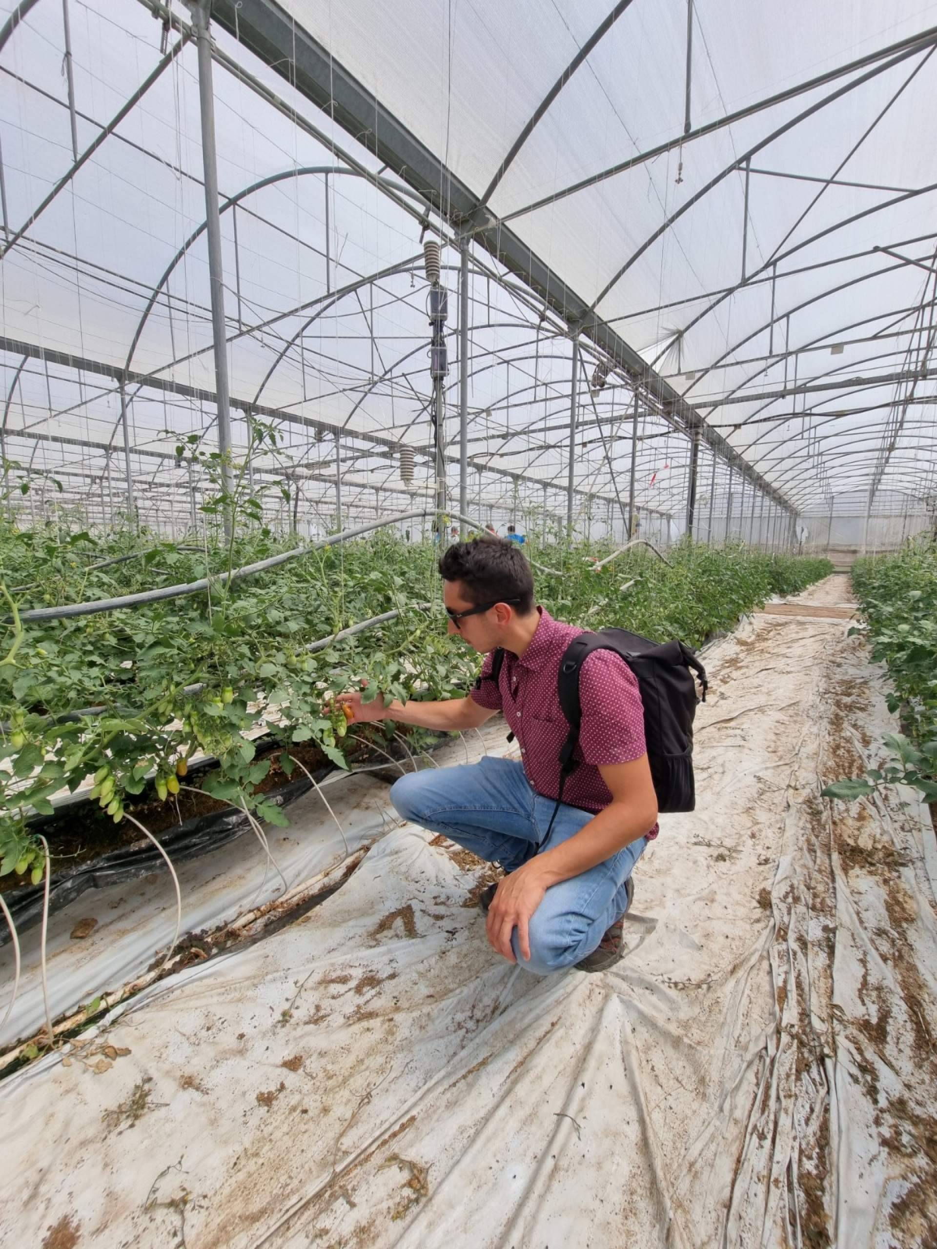 Malla termodifusora con partículas de aluminio: mejorar la calidad de los cultivos gracias a la compañía AGRALIA