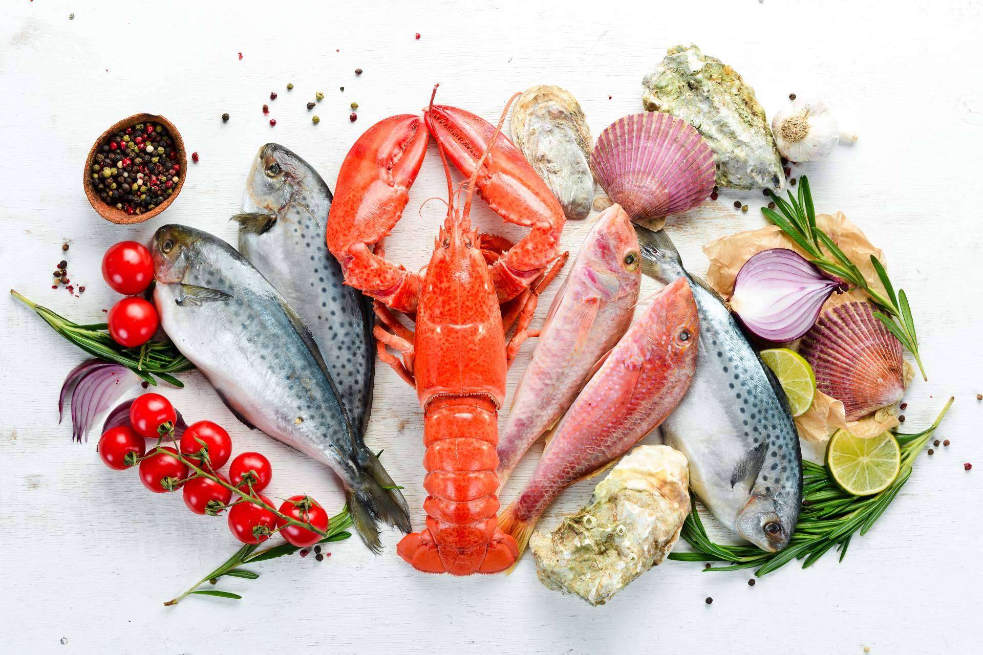 Marisco Galego, una empresa referente en el sector, ofrece un innovador servicio de venta de marisco para restaurantes