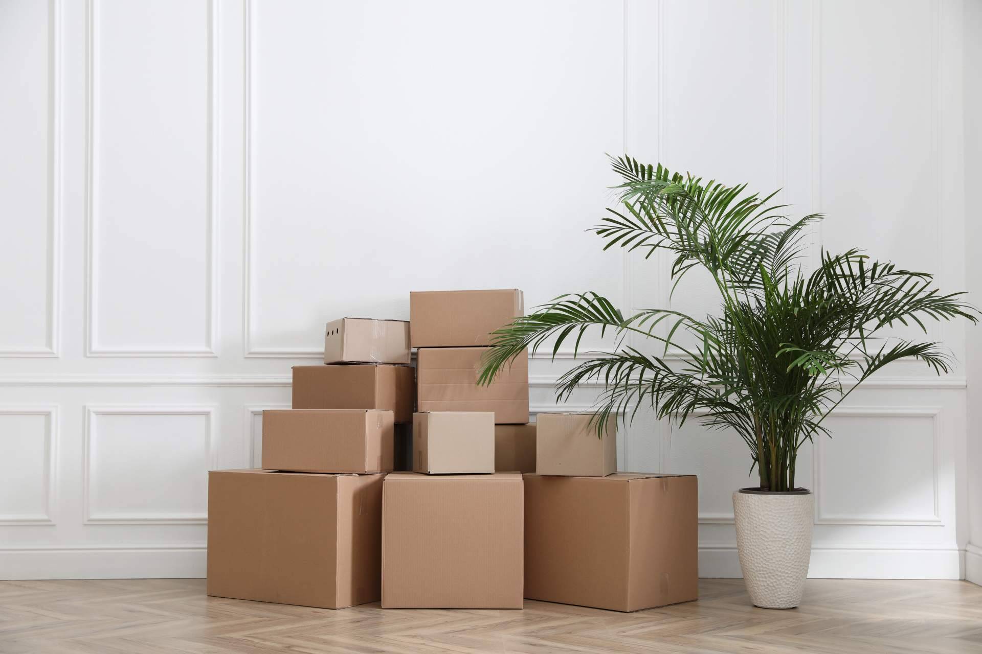 Servicios de mudanzas en Barcelona asequibles para todos: Cajas Mudanza BCN