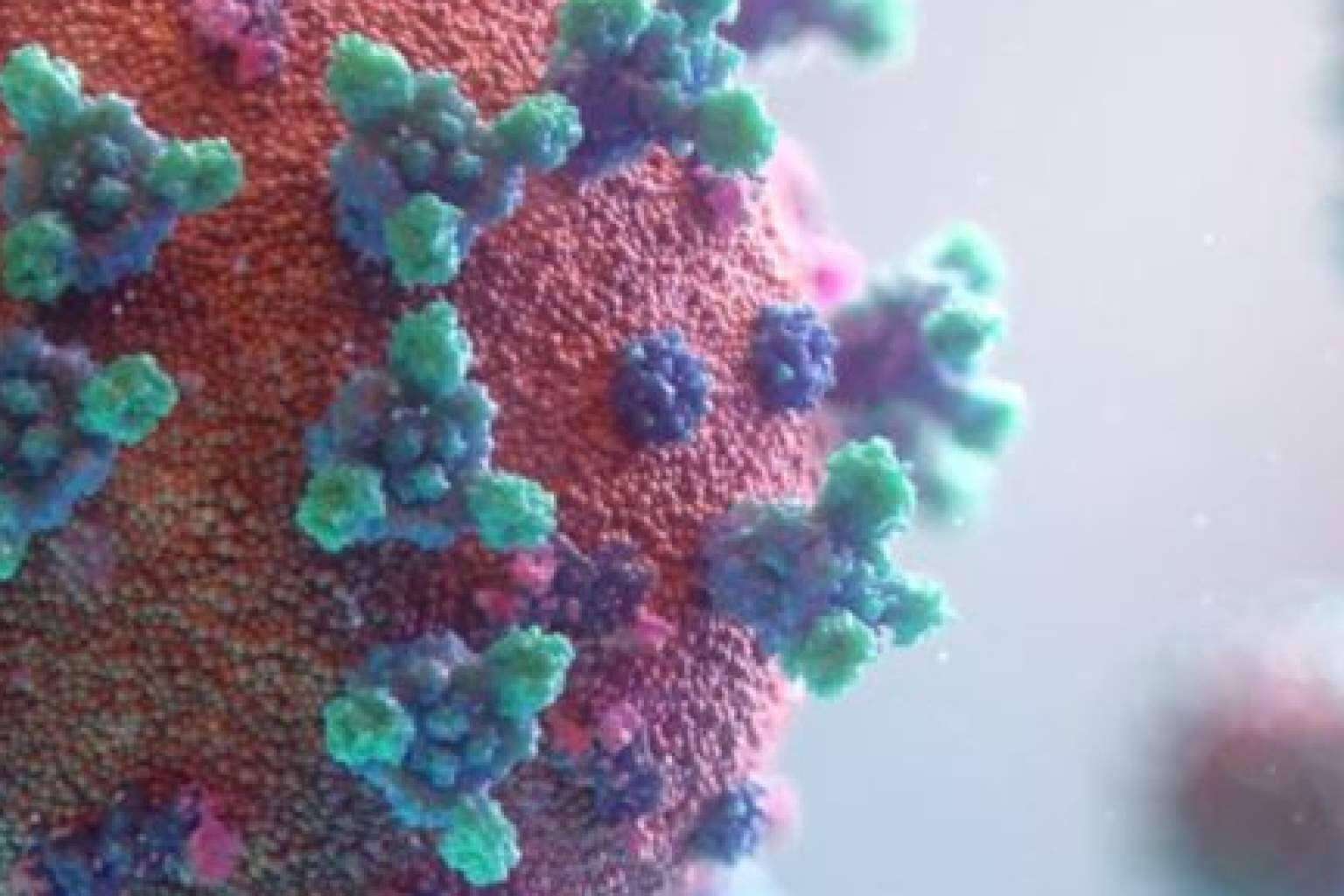 FLG Clinic: el tratamiento con láser PLEXR para eliminar las verrugas genitales producidas por VPH