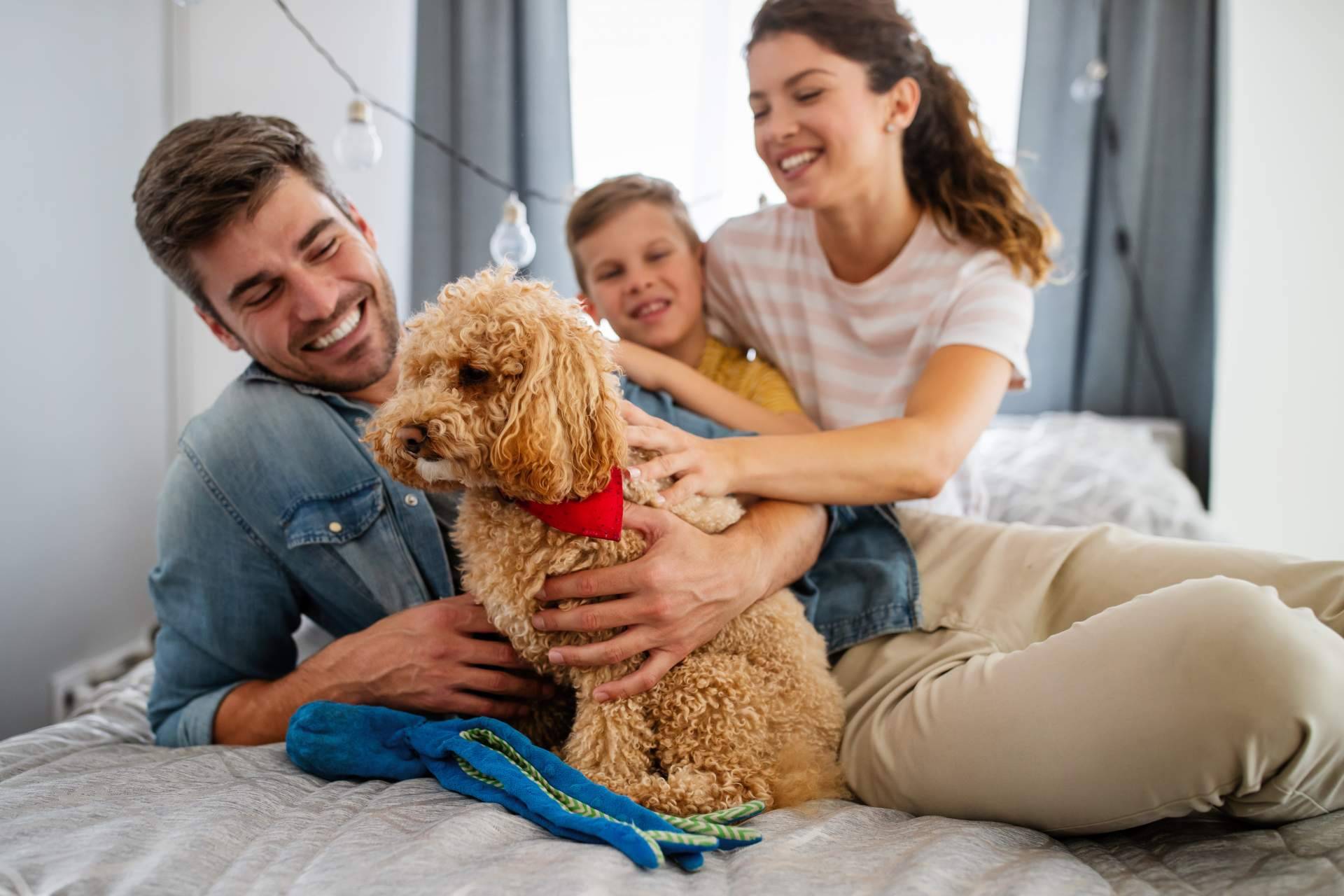 Recomendaciones para una buena convivencia con perros y gatos. La antrozoología y etología del perro y del gato