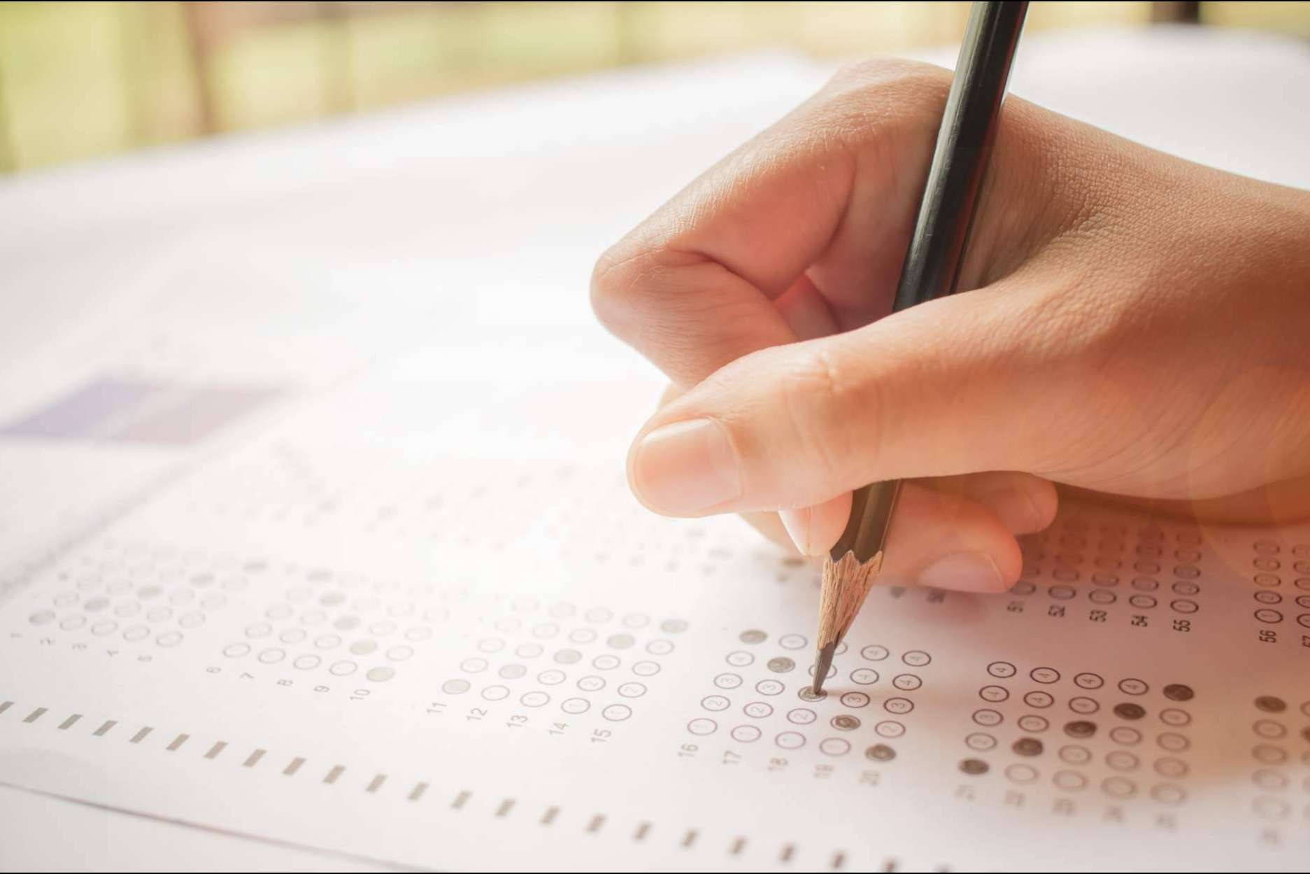 Una de las mejores opciones para la preparación de segundo de bachillerato es Academia Odiseo