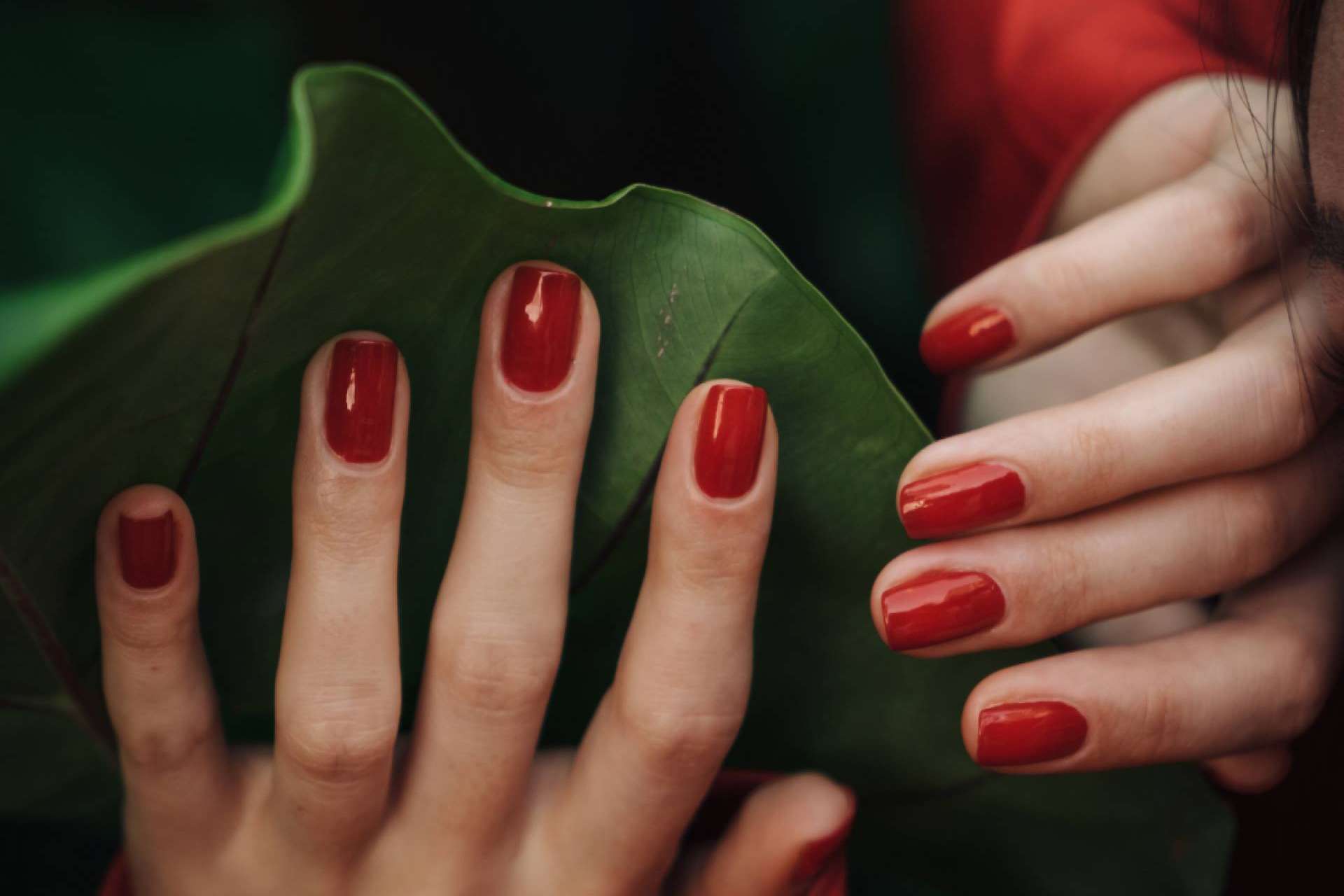 Kunal Cosmetic ofrece productos veganos, cruelty free y no tóxicos que representan la revolución de la cosmética