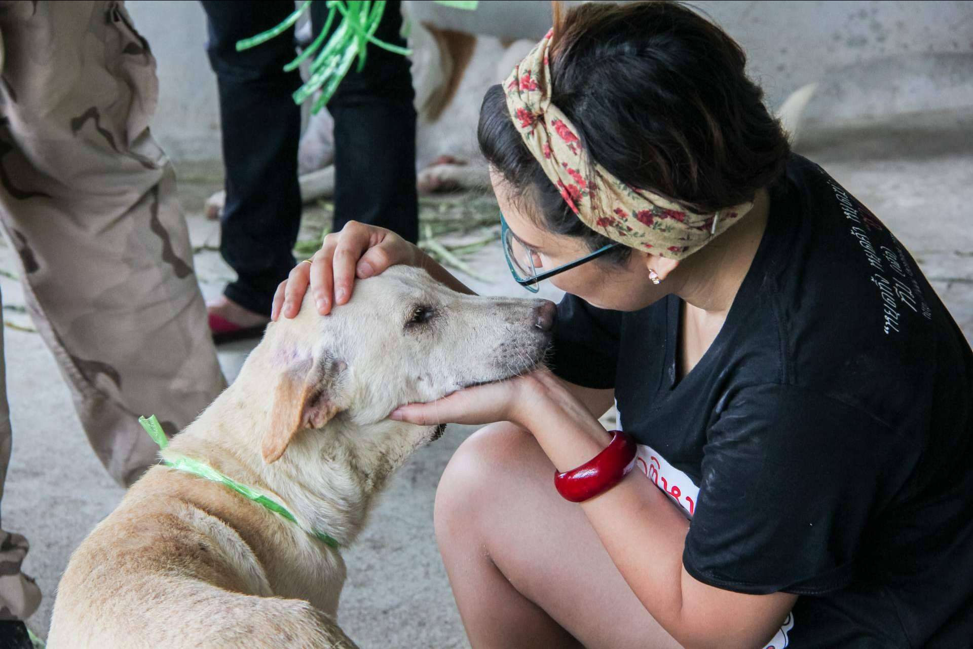 La tienda online propia del proyecto Adopta un Animal tiene el objetivo de ayudar a fundaciones y protectoras de animales