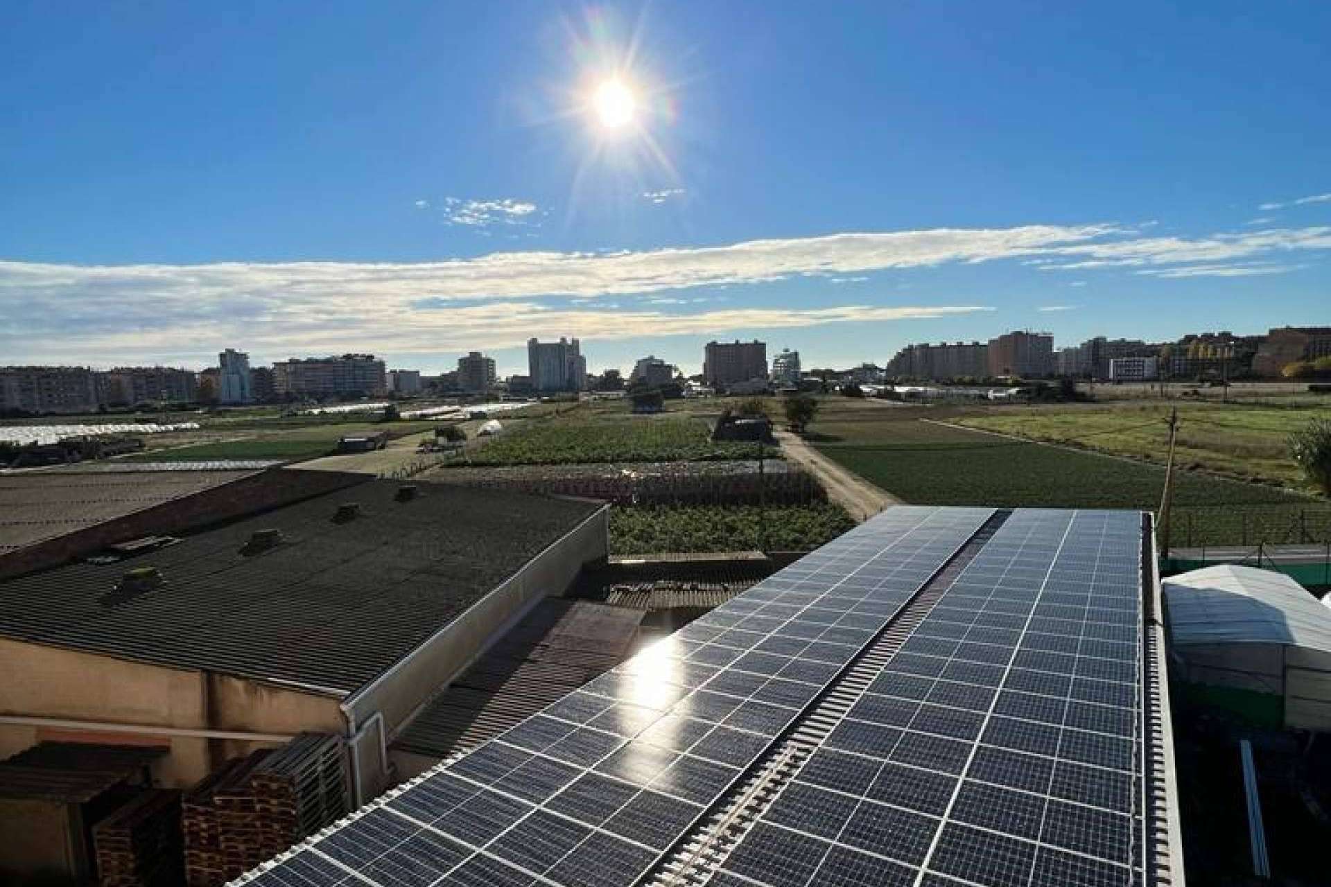 La gran variedad de soluciones energéticas de la mano de Energiber y Trienergía