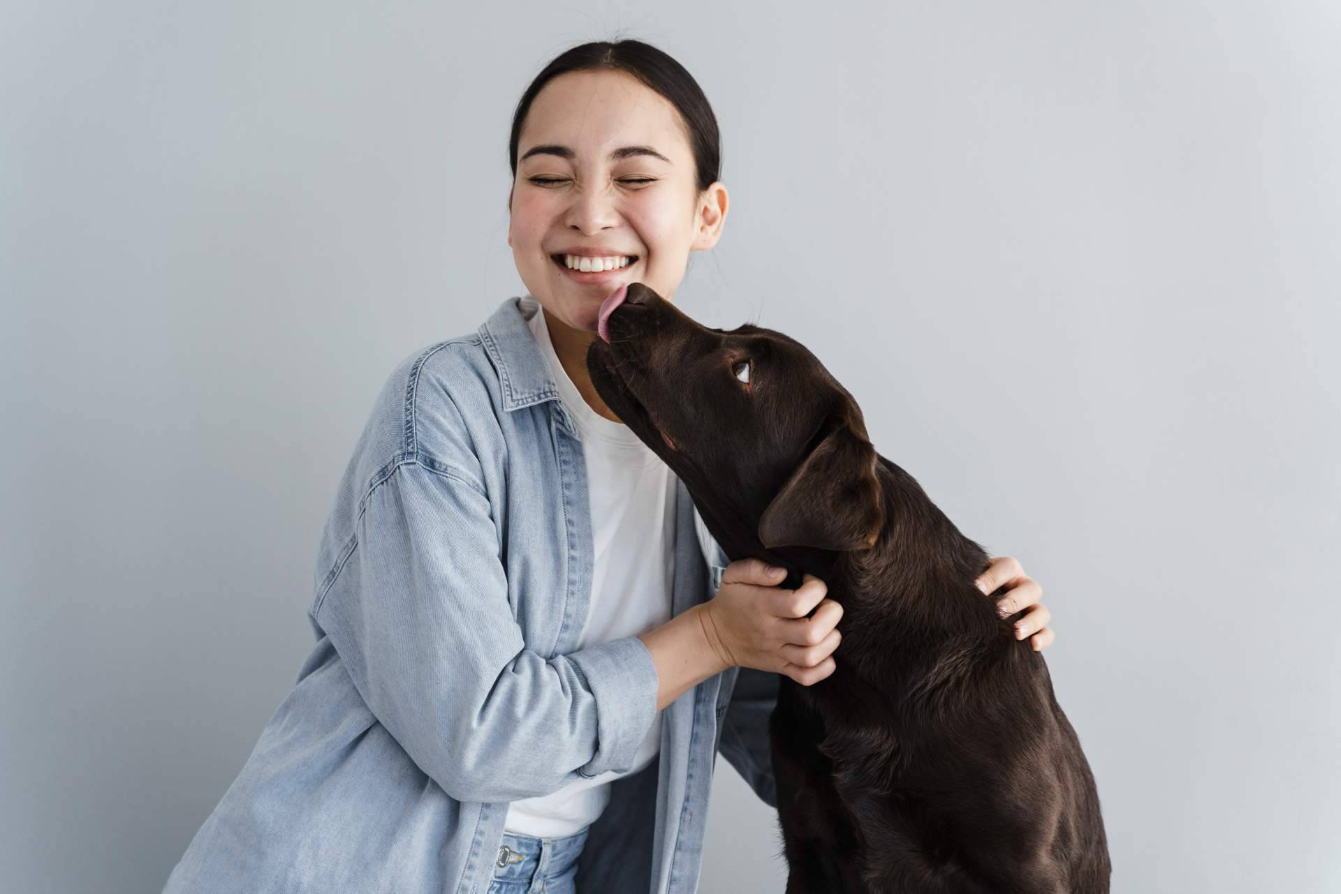 ¿Regalar una mascota para Navidad?