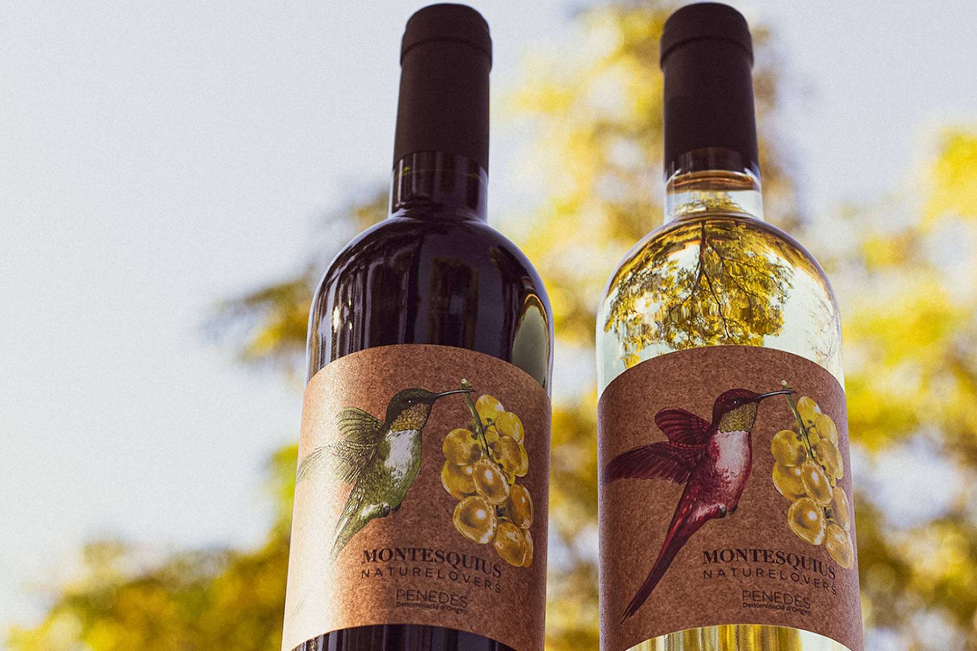 Beberse la naturaleza con vinos y cavas