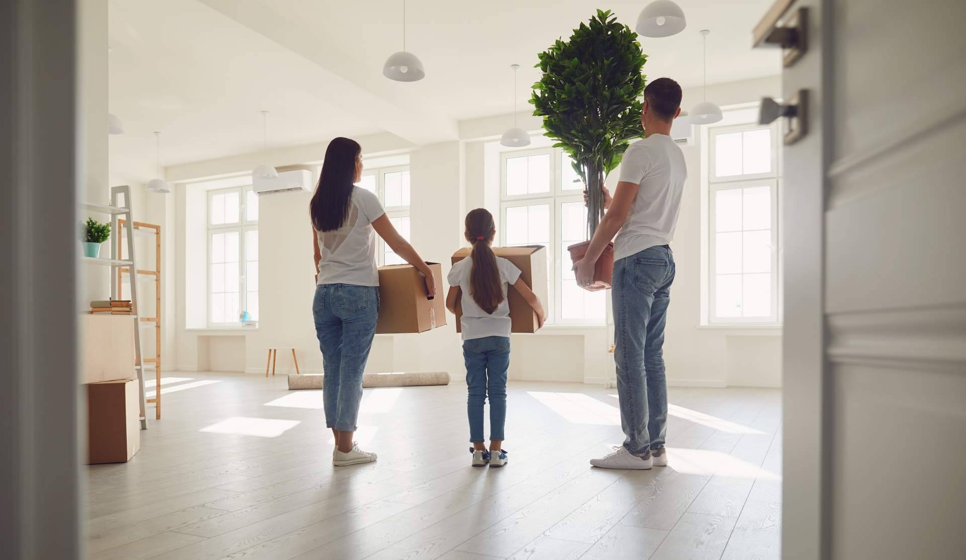 Venta de inmuebles online a través de la plataforma Dámelo Dámelo