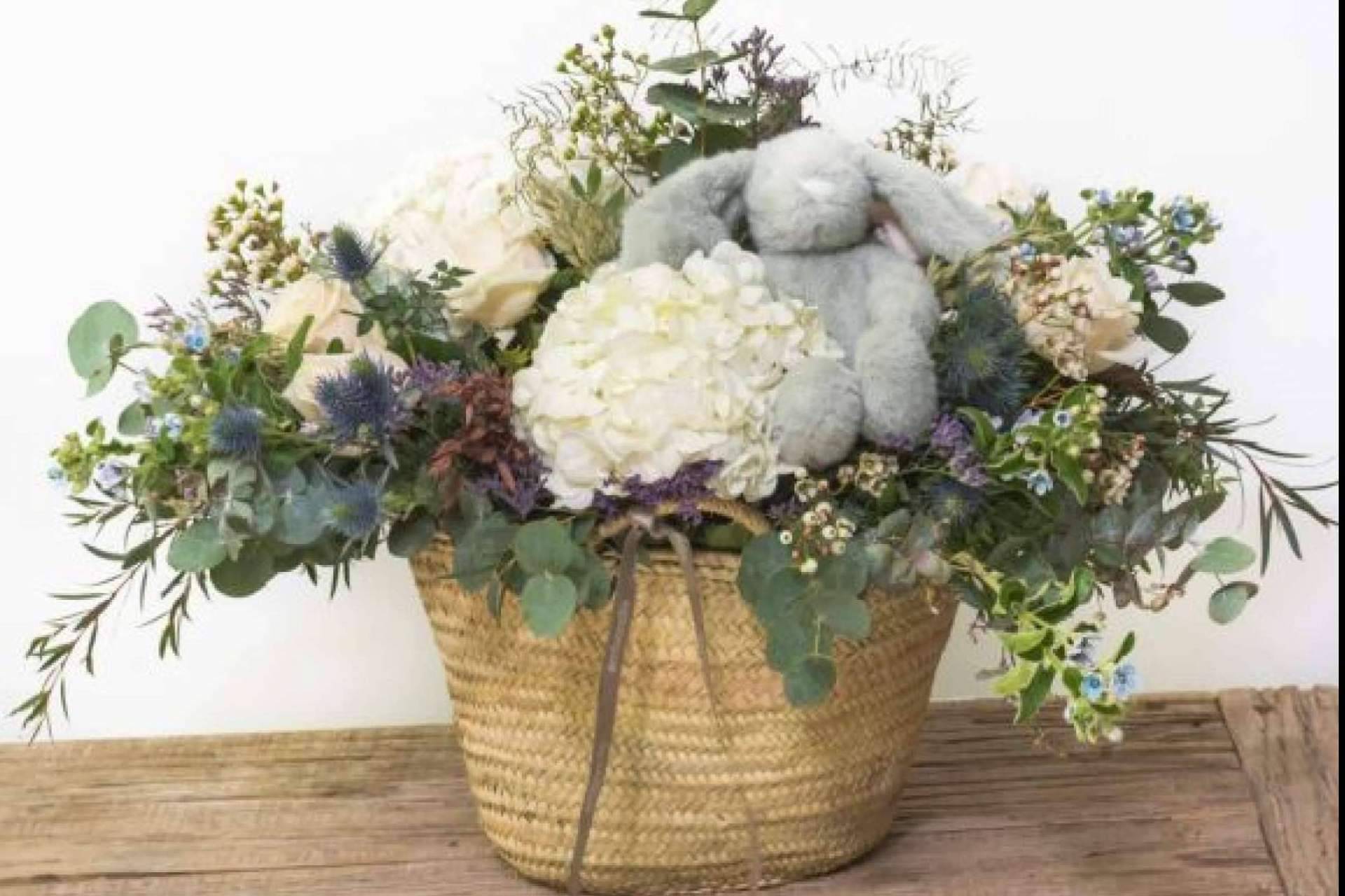 Enviar flores para nacimientos con Amborella