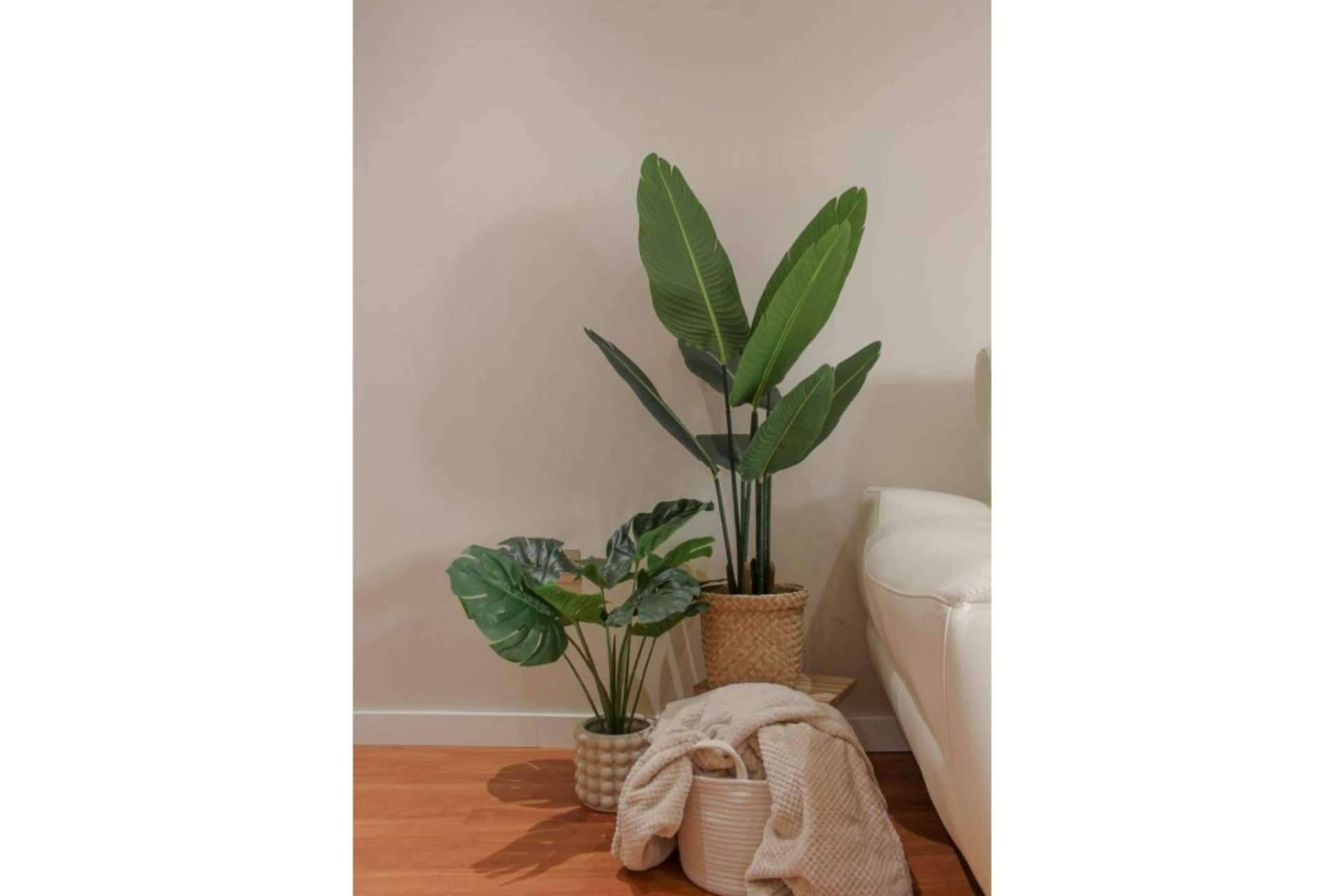 Beneficios de optar por plantas artificiales, de la mano de Zamyo