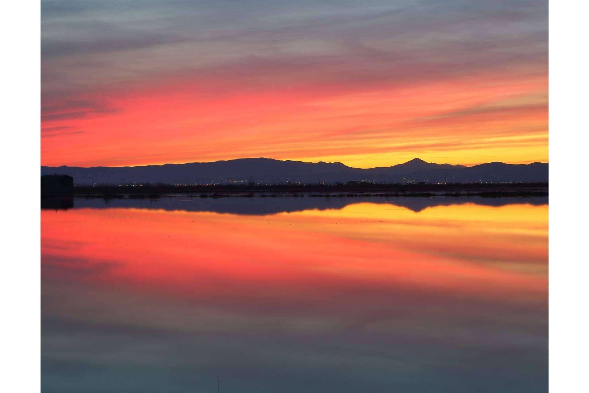 Albumar ofrece paseos en barca por la Albufera para descubrir el lugar