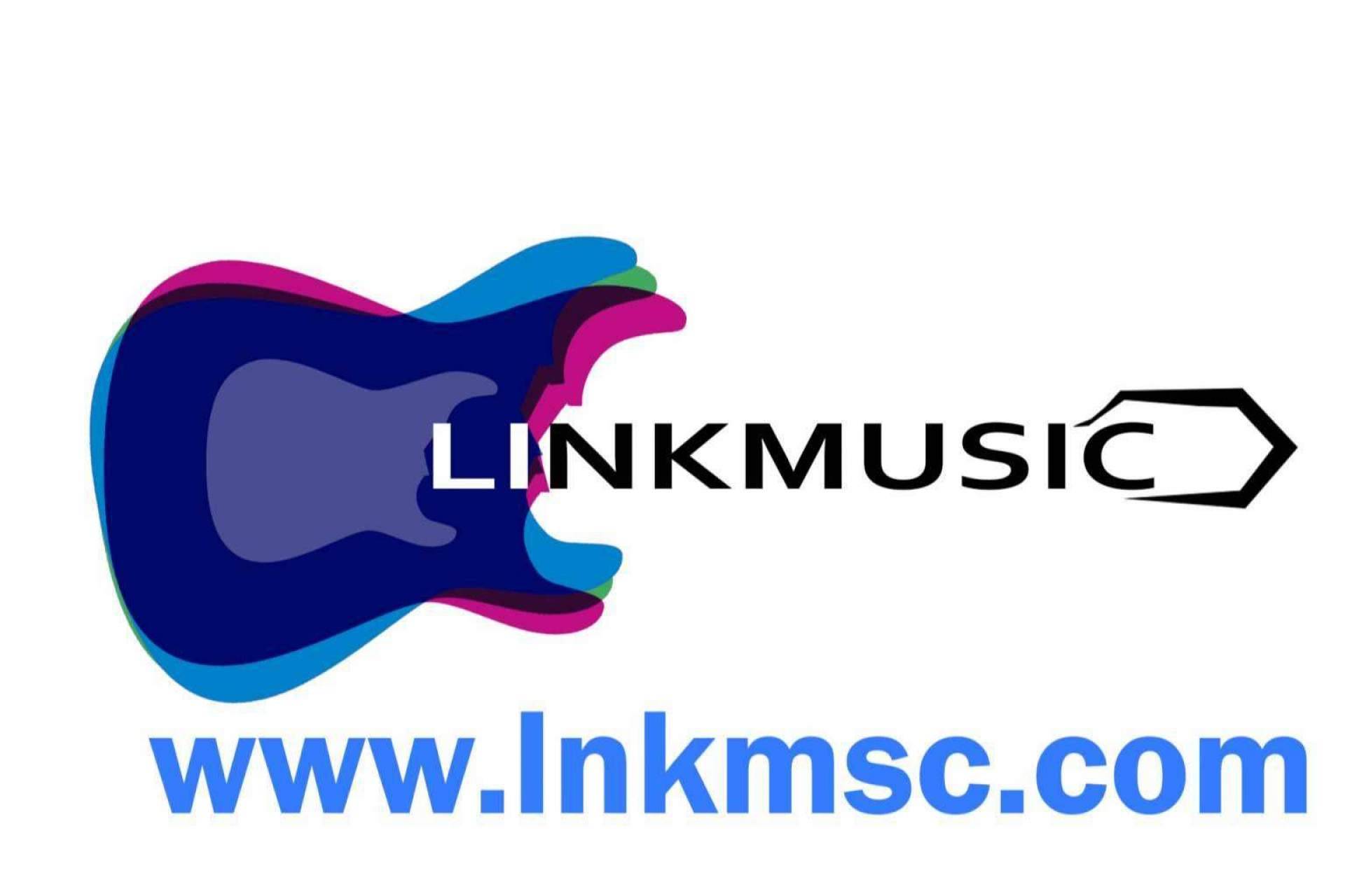 LinkMusic ayuda a los artistas a participar en eventos musicales fácilmente
