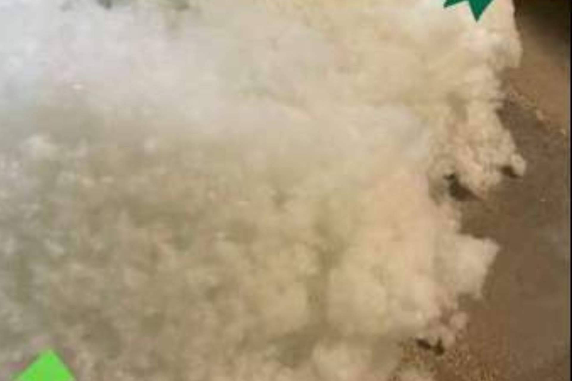 Un planeta más limpio y sostenible con el diseño de peluches ecológicos de Peluches Cel