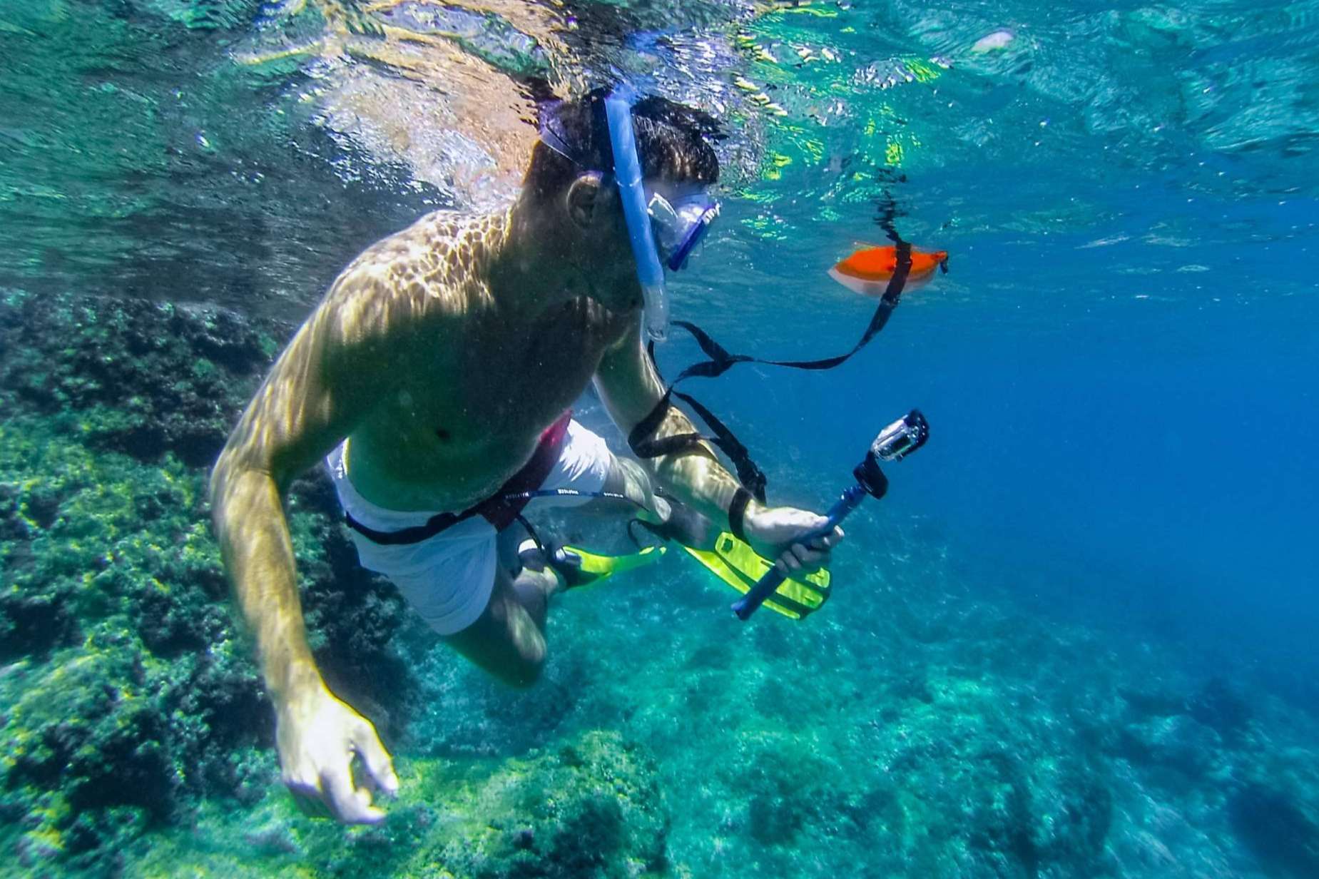 Planetazur, la agencia que promociona el turismo sostenible en la Provenza Francesa