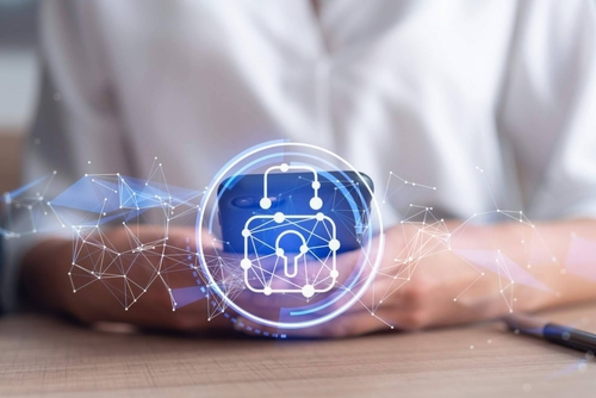 Soluciones sobre privacidad y protección de datos de los menores de edad, Lex Program