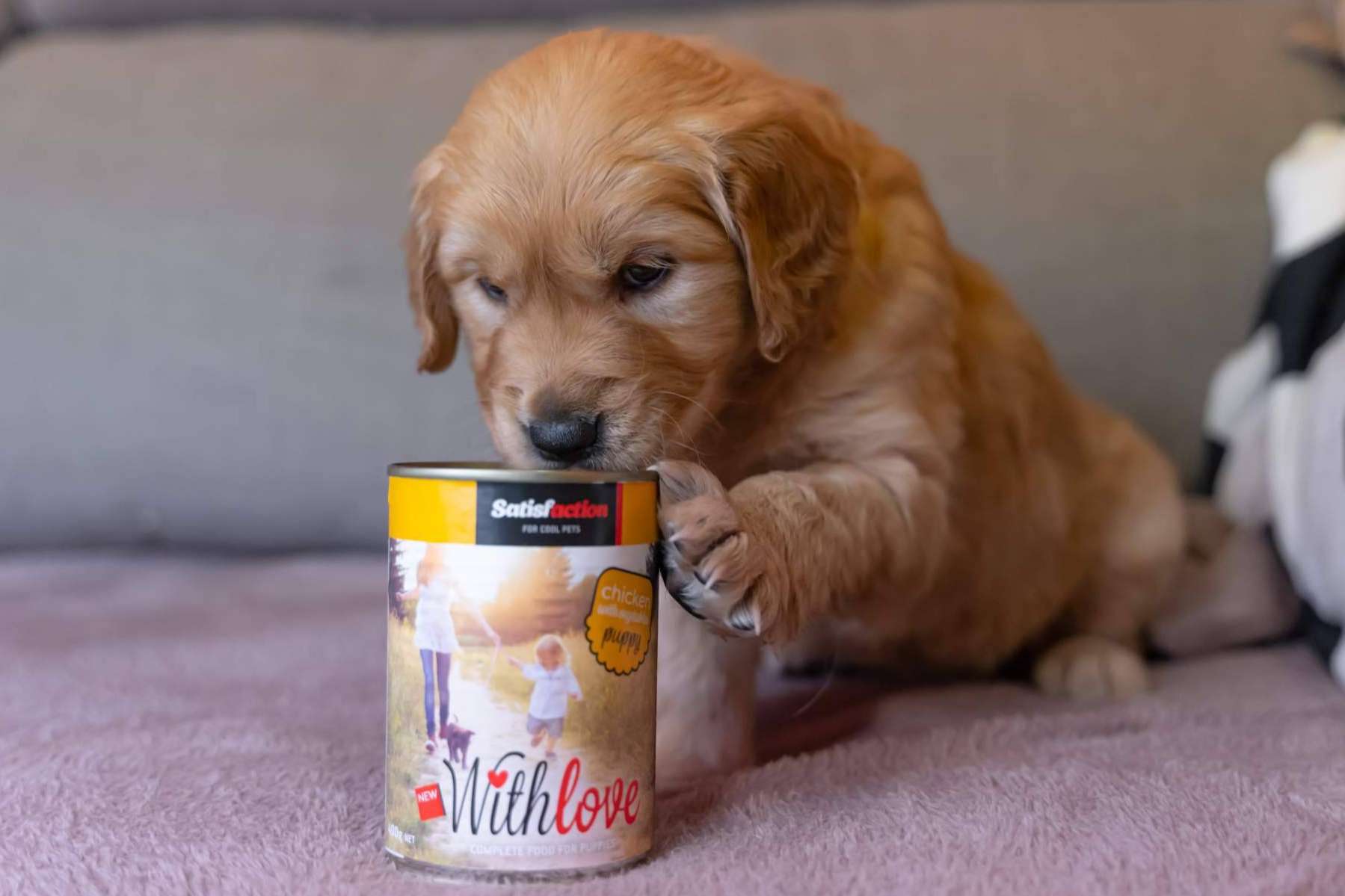Satisfaction presenta With Love, la nueva gama de comida húmeda para perros y gatos