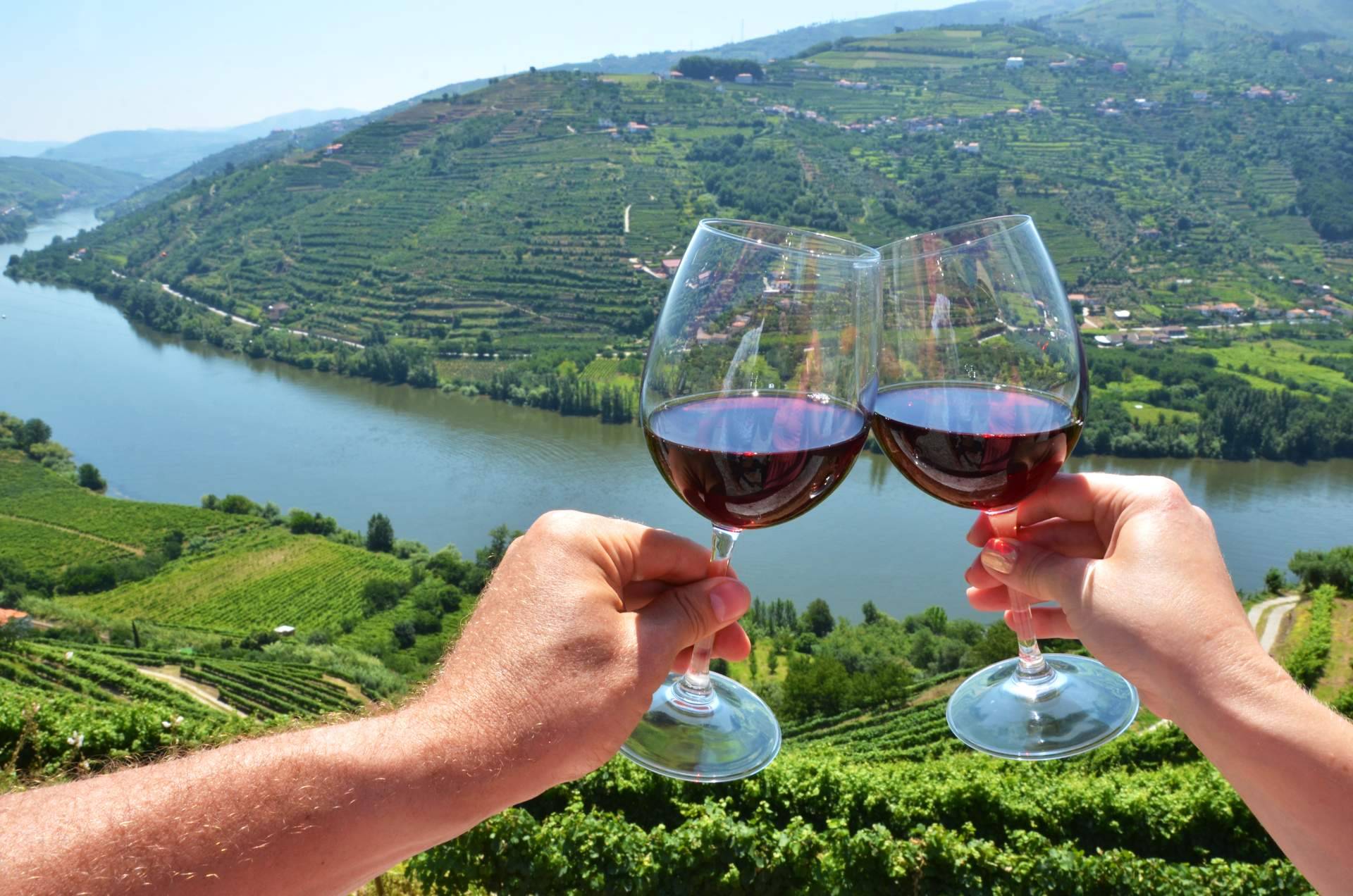 Una experiencia sensorial que transporta a la esencia de la excelencia enológica; los vinos tintos del Valle del Duero