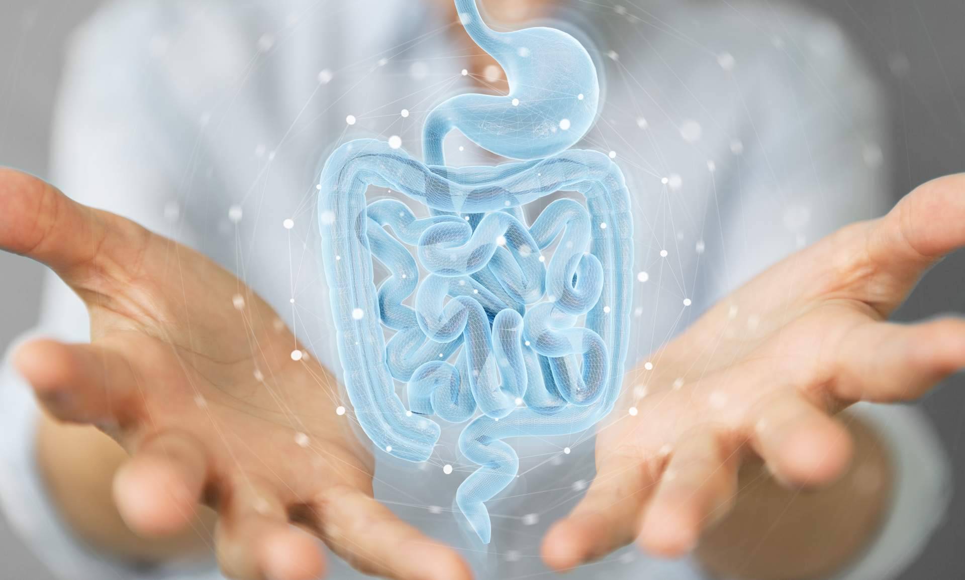 La compañía especializada en el tratamiento microbiota, COEUS Retroaging