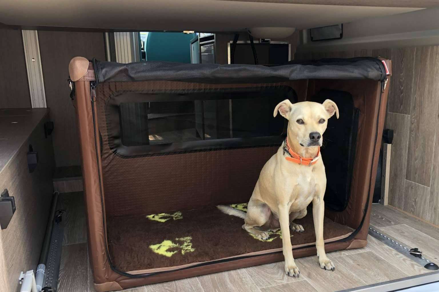 Alquiler de autocaravanas en Girona para realizar viajes con perros, de la mano de Activans