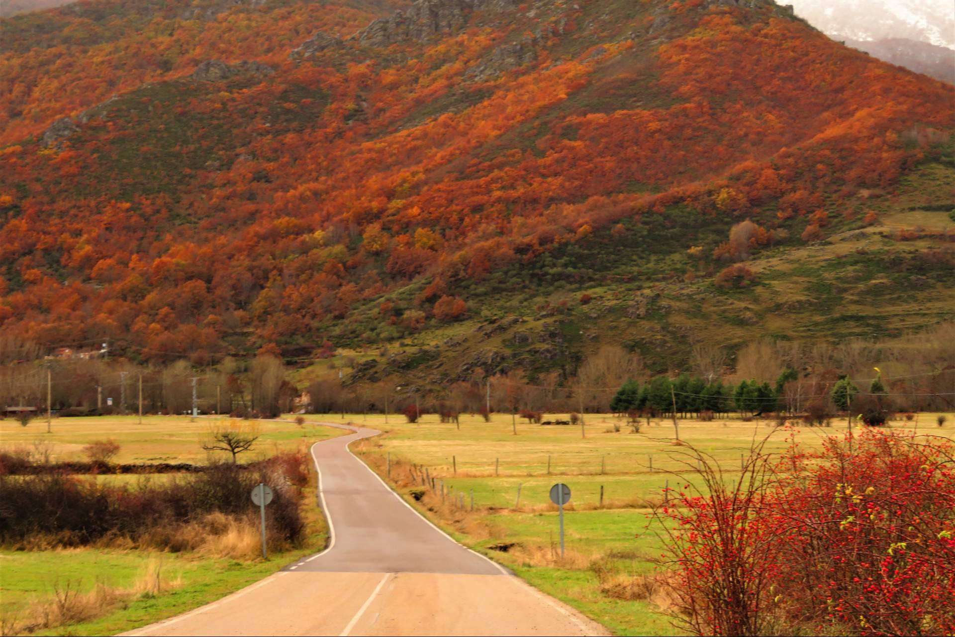 Rutasen.es y sus expertos locales para descubrir España a través de sus rutas