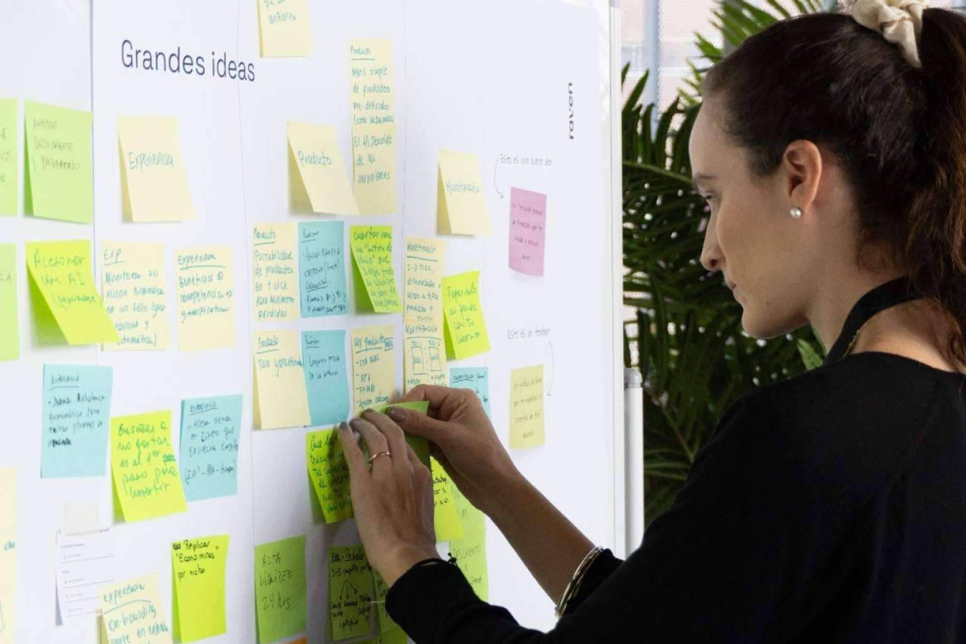 Especialistas en business design, Raven