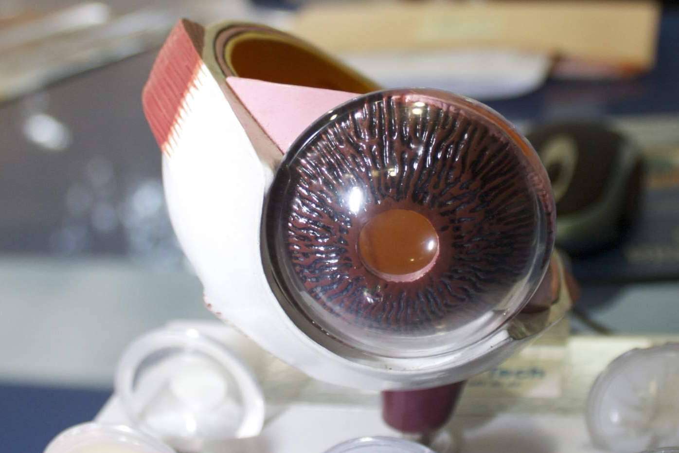 IOTT recomienda el serum de pestañas de Nost Cosmetics para realzar la mirada