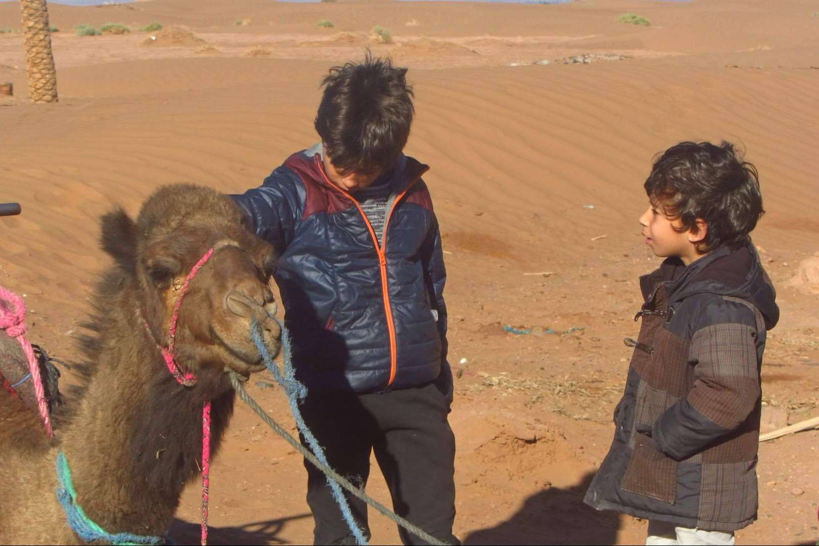 Atar Experiencie, un aliado estratégico para recorrer Marruecos de manera exclusiva