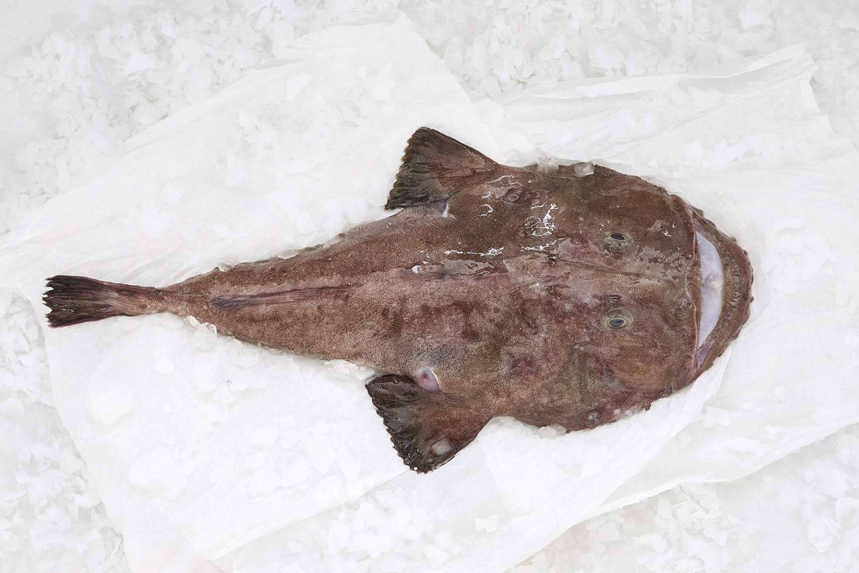 Pescado blanco, la clave para volver a los hábitos saludables después del verano