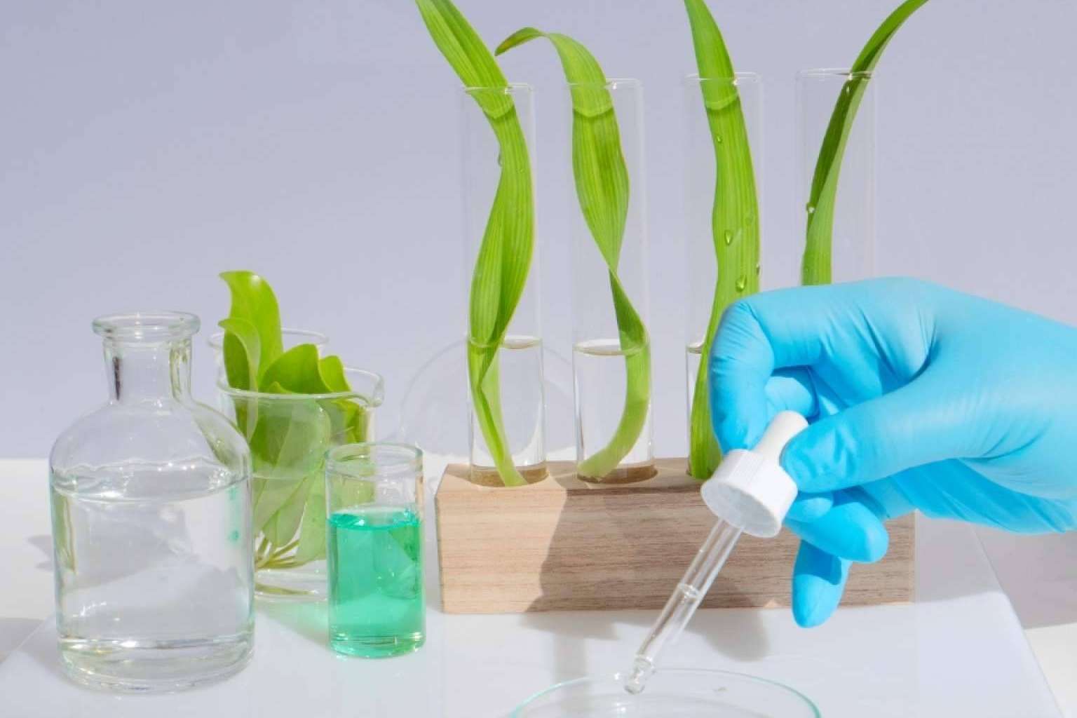 Norovirus bajo control con los beneficios de GudPro®