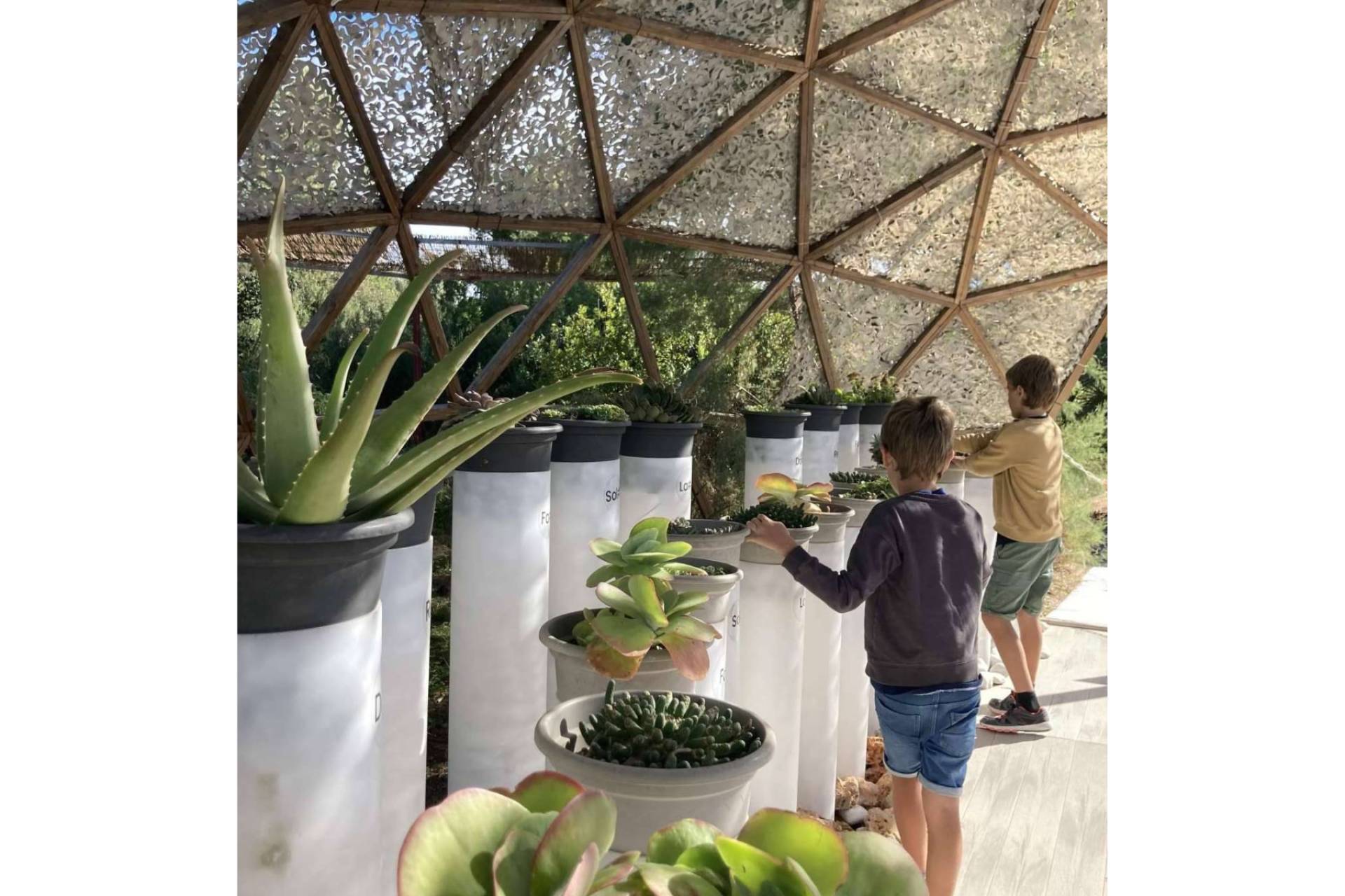 Entre los imprescindibles que visitar en Ibiza; Bibo Park, donde la biotecnología se une a la naturaleza