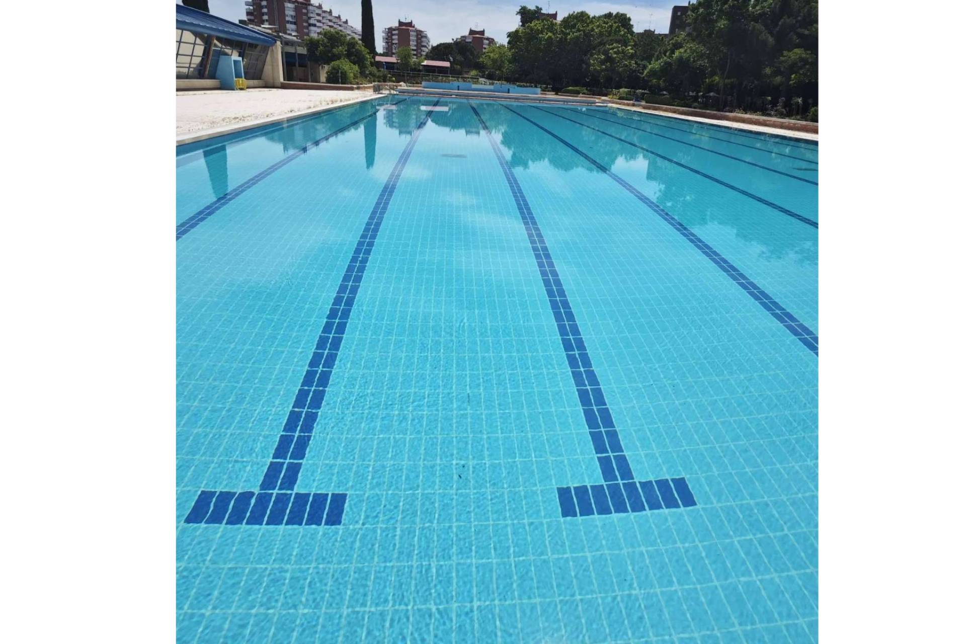 Piscinas más limpias y saludables con la purificación natural de agua de POOL TIGER EUROPE