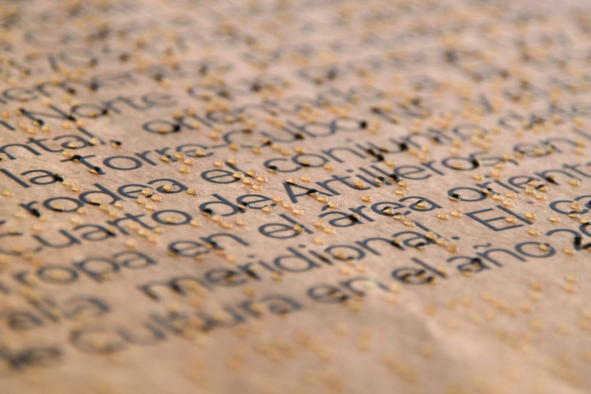 Señalización accesible que transforma espacios; Databraille impulsa entornos inclusivos con soluciones en Braille