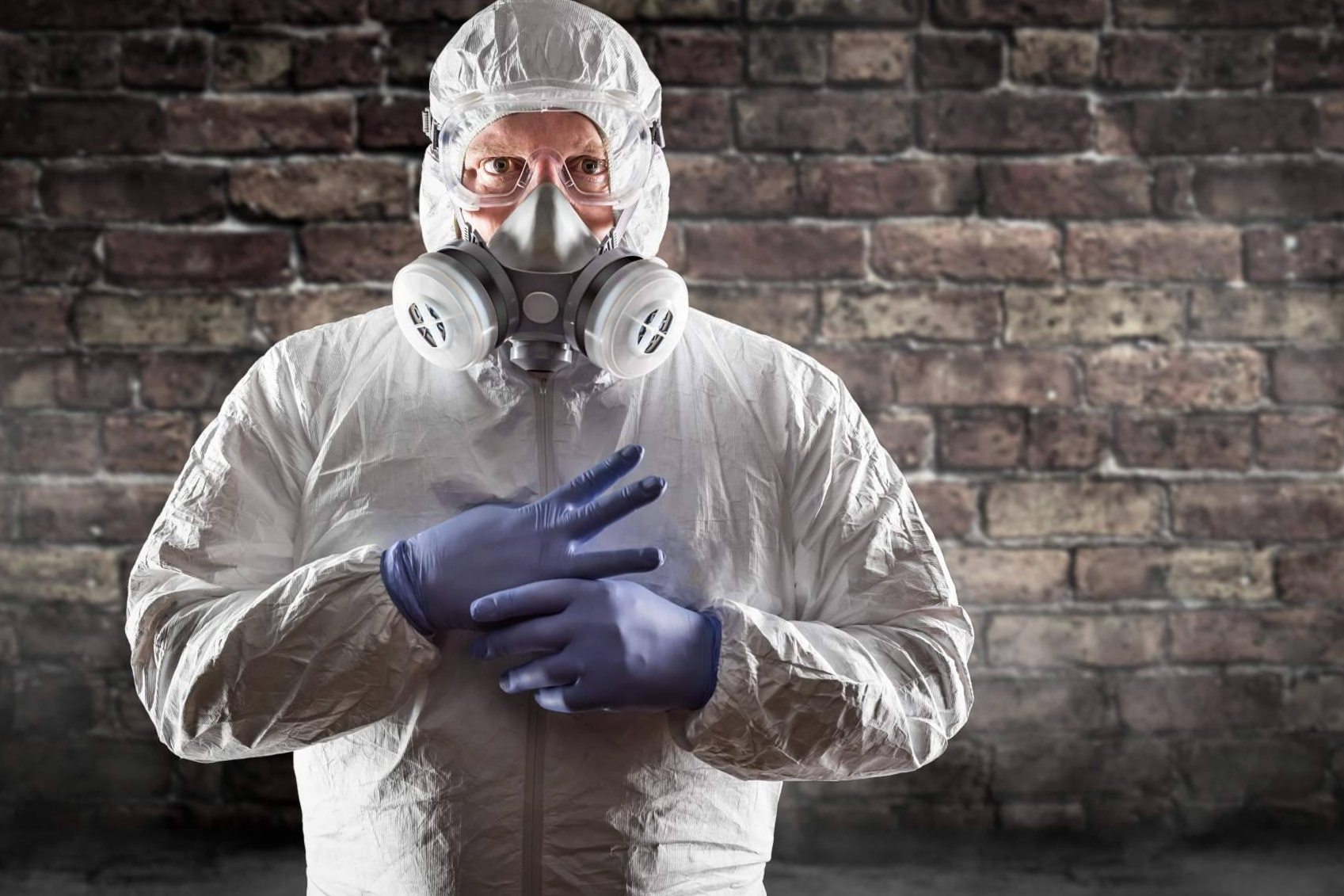 Soluciones profesionales para el control de plagas, el enfoque integral de NeoPlagas