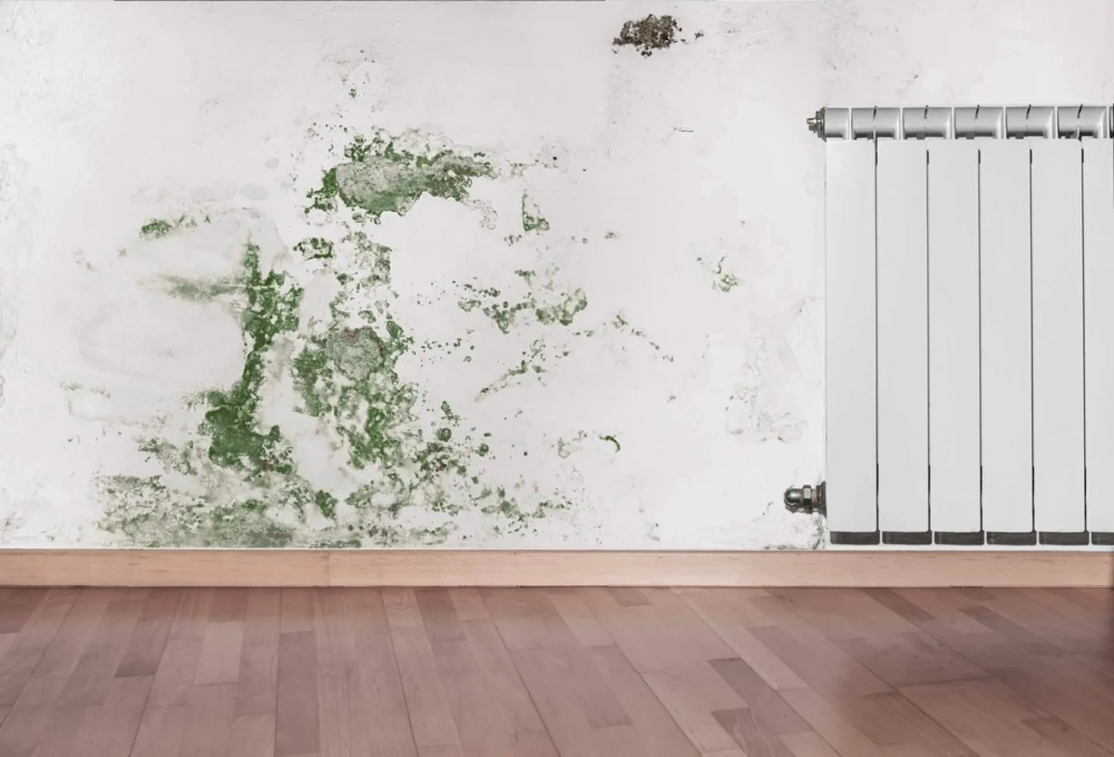 ¿Cómo proteger la vivienda antes del invierno? El papel de la impermeabilización